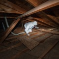 An energy auditor kneeling on attic floor joists shines a flashlight to towards the outer edge of an unconditioned attic.